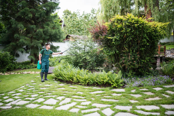 Best Tree and Shrub Care  in Electra, TX