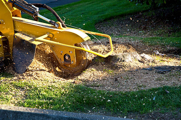Lawn Grading and Leveling in Electra, TX